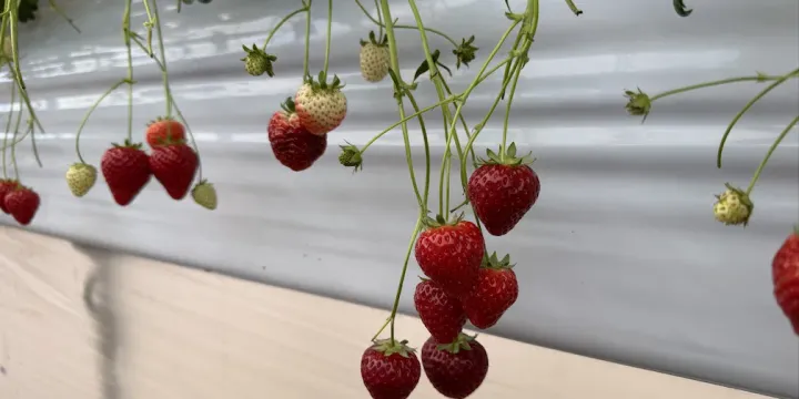 [週報] 2026/03/09週のヒーロー画像